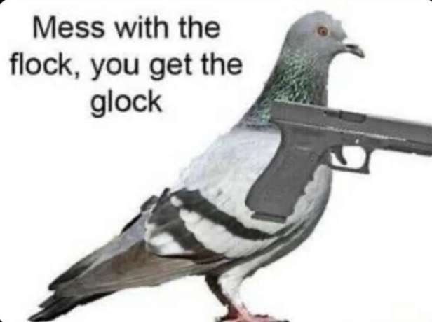 My bird