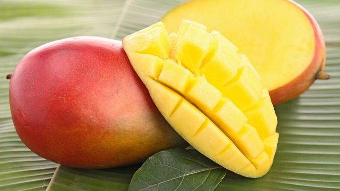 Do YOU like mangoes?