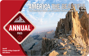 $80 for a year's pass