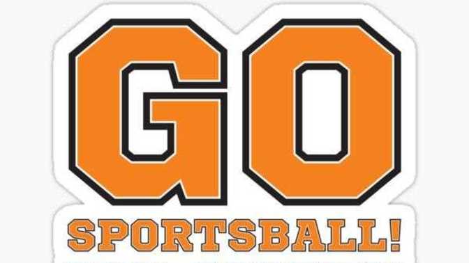 Are you involved in any local sports leagues?