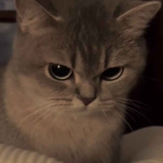 4- and... when a girlfriend of mine had a mad-at-me face