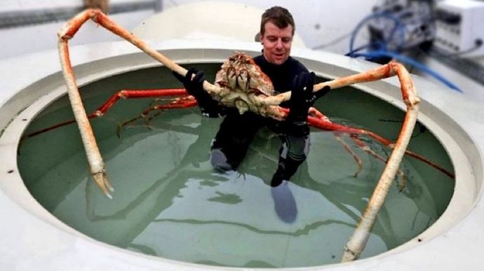 Hug me tight big boy!