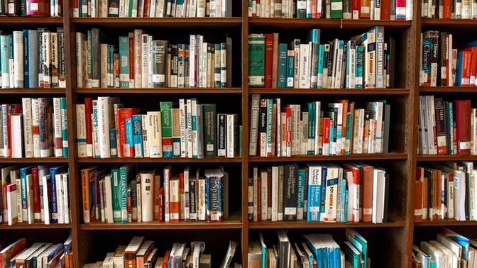 Do you agree that all STORIES have one of these SIX PLOTS?