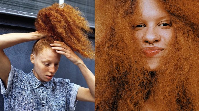 Do you like gingers?