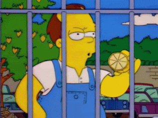Do YOU like lemons?