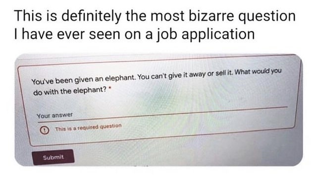 How would you answer this question if you were asked in a job interview?