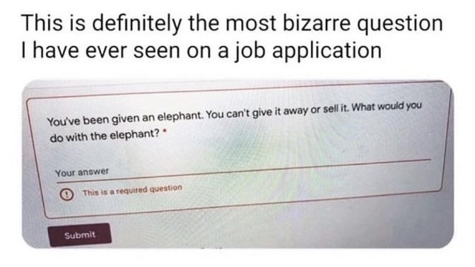 How would you answer this question if you were asked in a job interview?