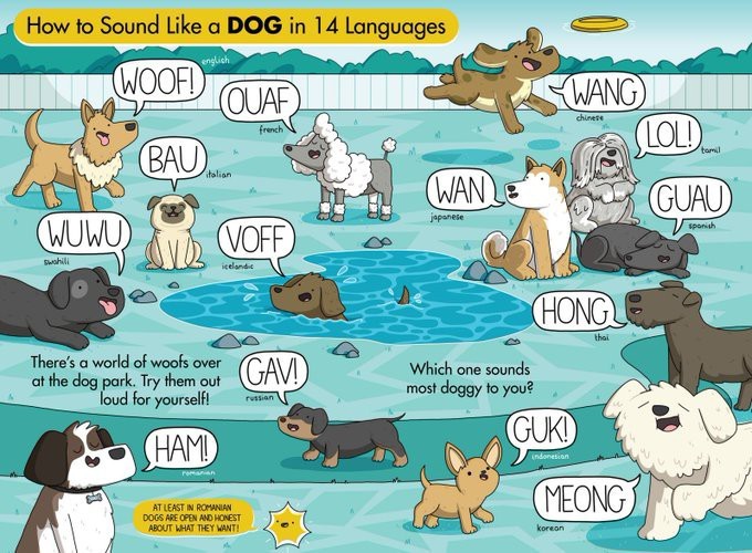 What noise do animals make where you live?