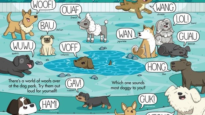 What noise do animals make where you live?