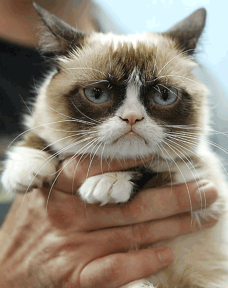 What are some examples of relationship memes that has deep meanings?