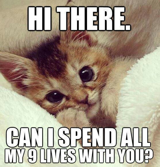 What are some examples of relationship memes that has deep meanings?