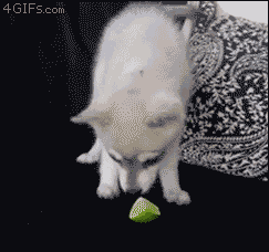 Do YOU like Limes?