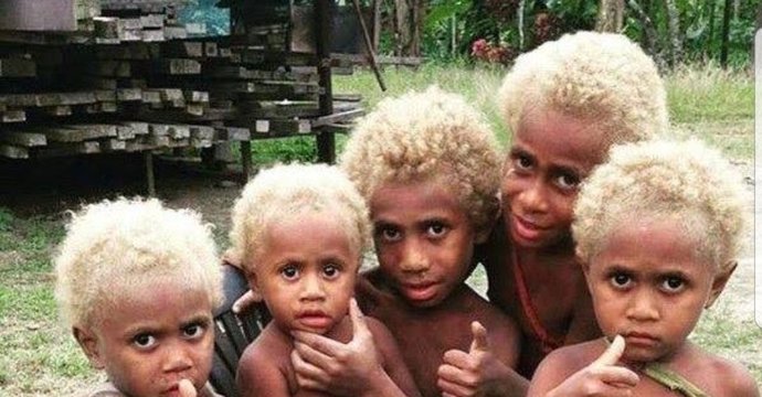 Are Aboriginies black people?