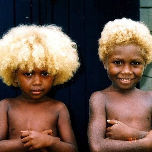 Are Aboriginies black people?