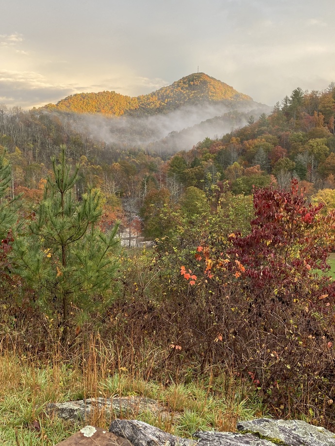 What are your favorite Thanksgiving/Fall activities that you do with your loved ones?
