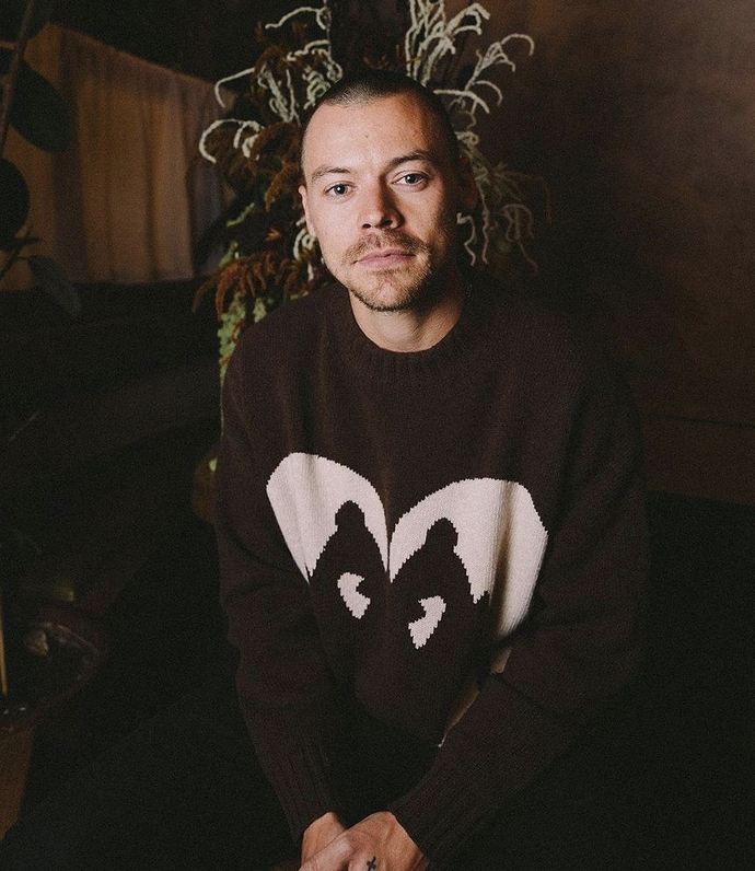 Thoughts on Harry Styles’s new cut?