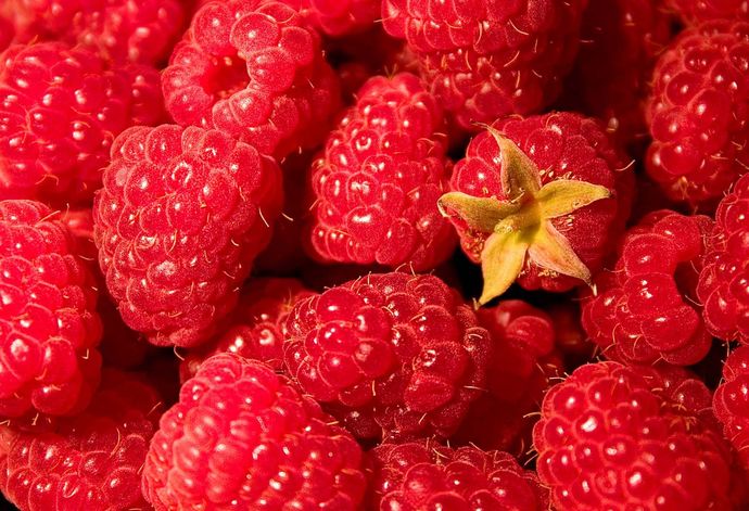 Do YOU like raspberries?