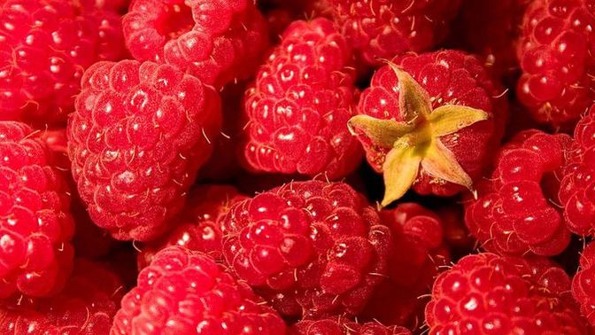 Do YOU like raspberries?