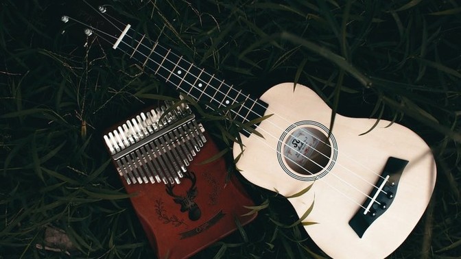 Do you think it is more difficult to learn ukulele or is it more difficult to learn to get up?