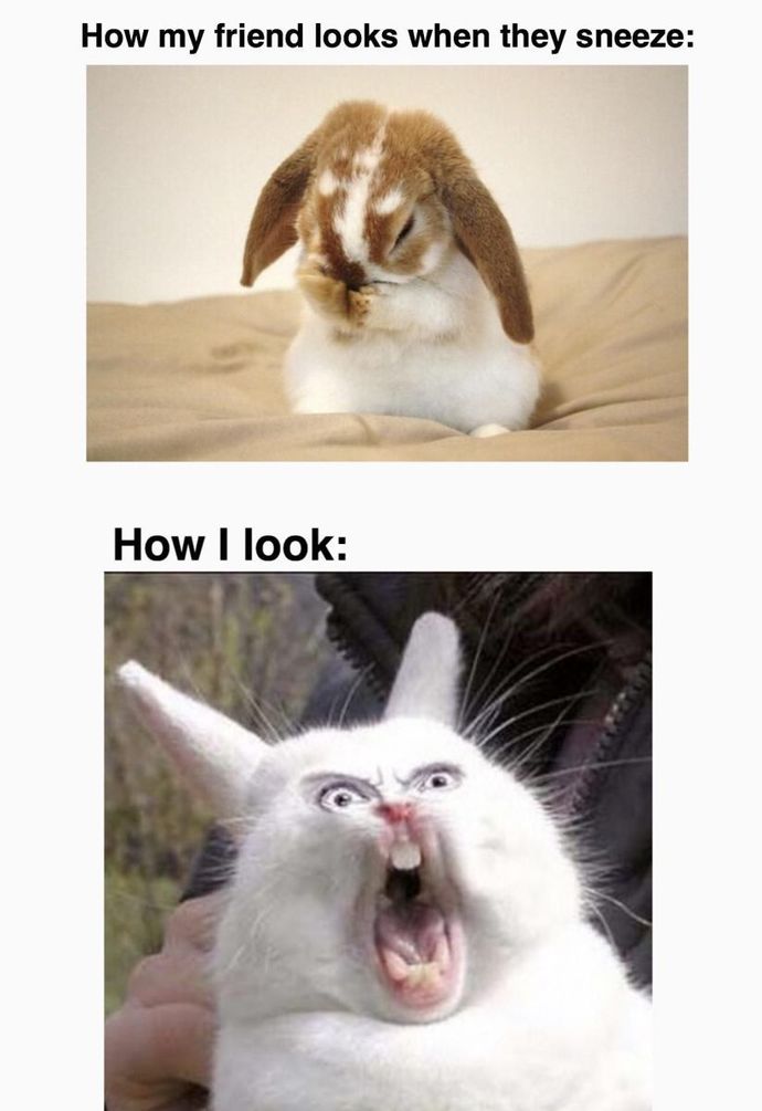 Girls, Do I sneeze like a cute kitten?