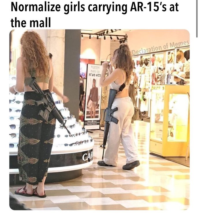 Should women be allowed to carry AR-15 in public?