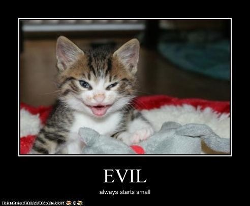 Why are there no cat nativities?