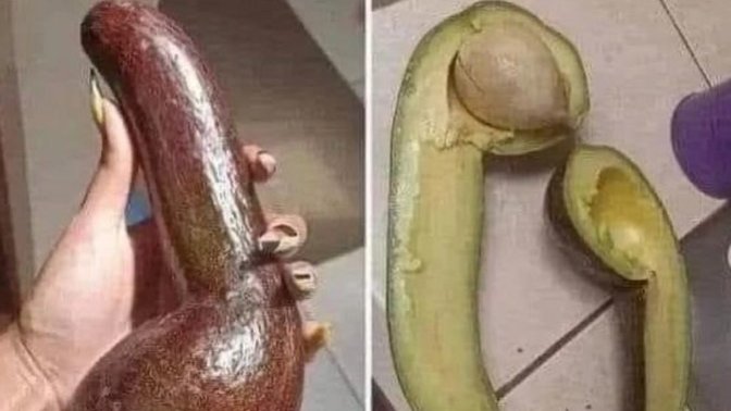 What do you make with avocados?