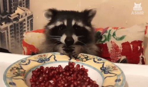 Do YOU like pomegranate?
