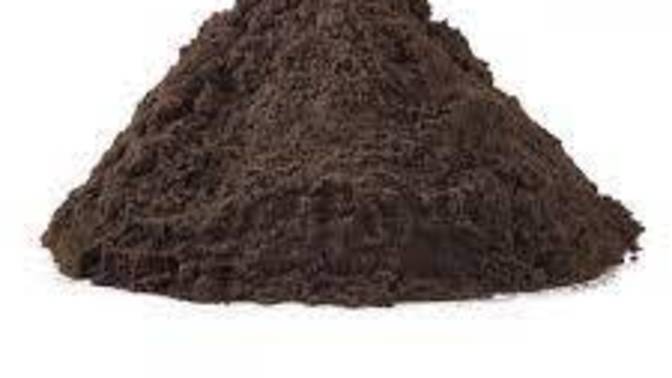 Is it weird to call your friends the soil beneath your feet?