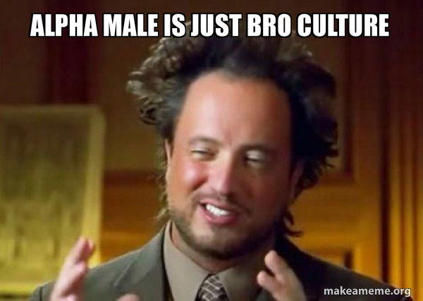 What are your opinions on the alpha and beta male movement?