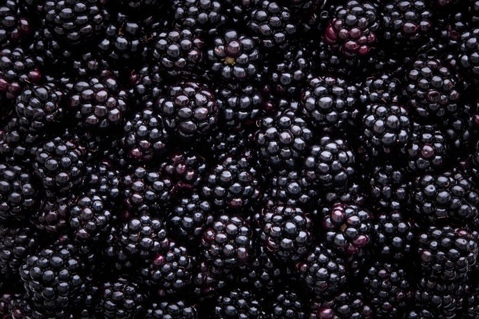 Do YOU like Backberries?