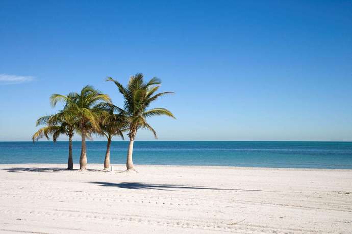 Minnesota vs Florida. Which state would you rather live in ?