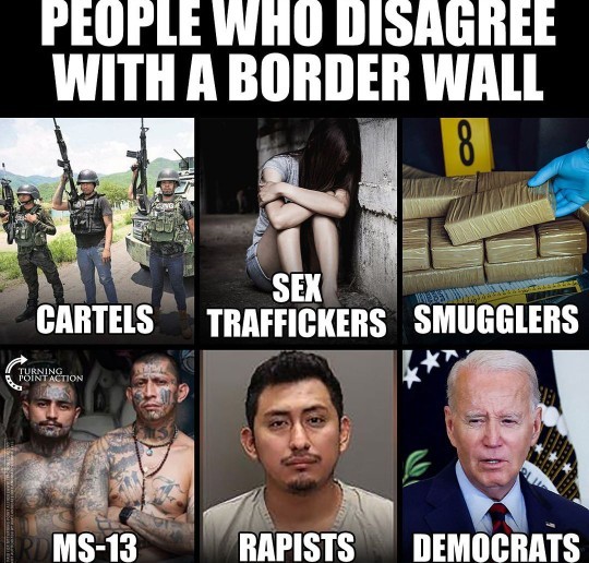 Do you agree with this political opinion in the image?