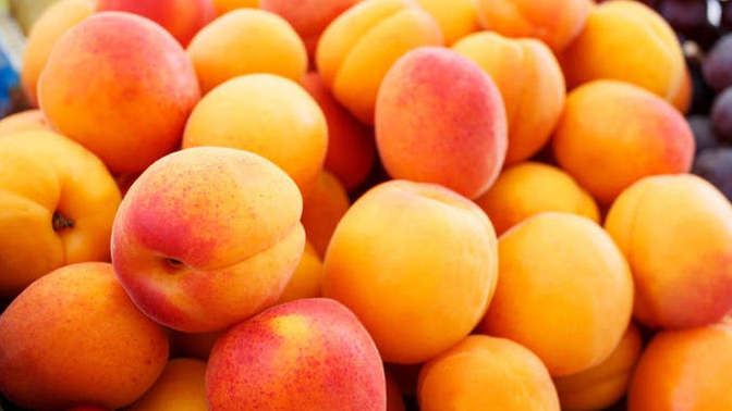 Do YOU like apricot?