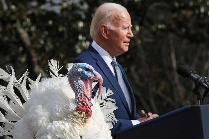 If you found out President Biden just pardoned two gay turkeys, would you be OK with that?