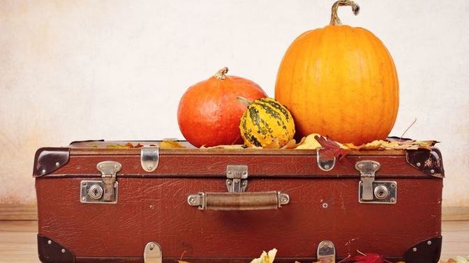 American GAGers: Are you traveling for the Thanksgiving holiday?