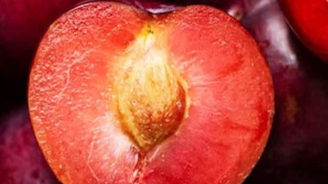 Do YOU like plums?