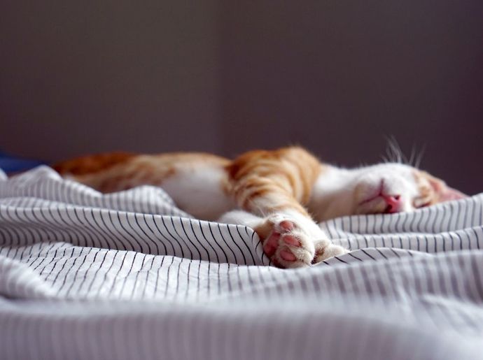 Why is it so soothing to hear someone sleeping?