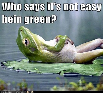What is your favorite shade of GREEN?
