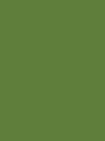 What is your favorite shade of GREEN?