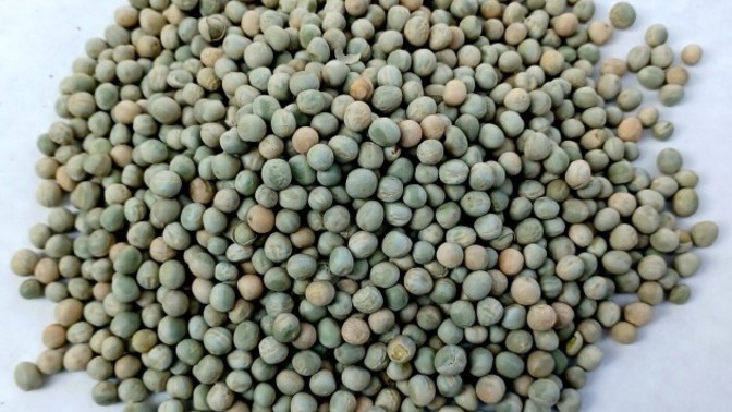 Do you like dried peas?