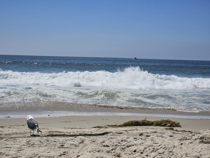I took this in Dana Point