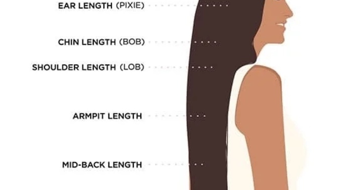 Most attractive hair length on women?