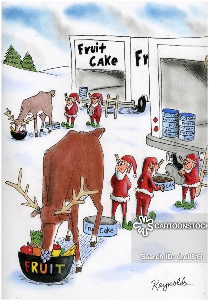 Do you like fruitcake?