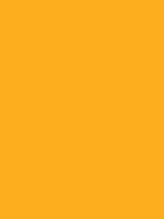 What is your favorite shade of ORANGE?
