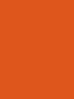 What is your favorite shade of ORANGE?