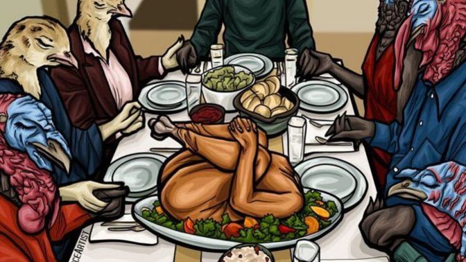 Do Turkeys celebrate Thanksgiving?