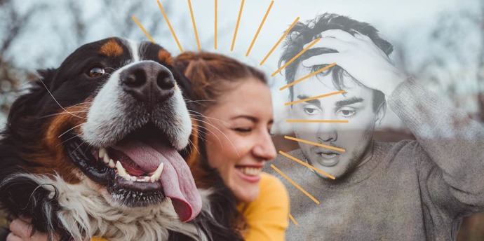 Choose your spouse/girlfriend or your pet? Who wins?