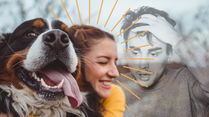 Choose your spouse/girlfriend or your pet? Who wins?