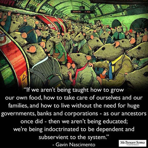 The Government aint coming if the SHTF. Do you PREP?